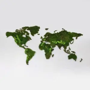 Wereldkaart wanddecoratie mos