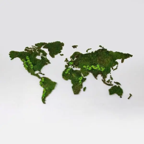 Wereldkaart wanddecoratie mos