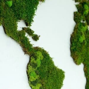 Wereldkaart wanddecoratie mos